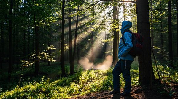 Top vêtements Millet pour vos escapades en pleine nature